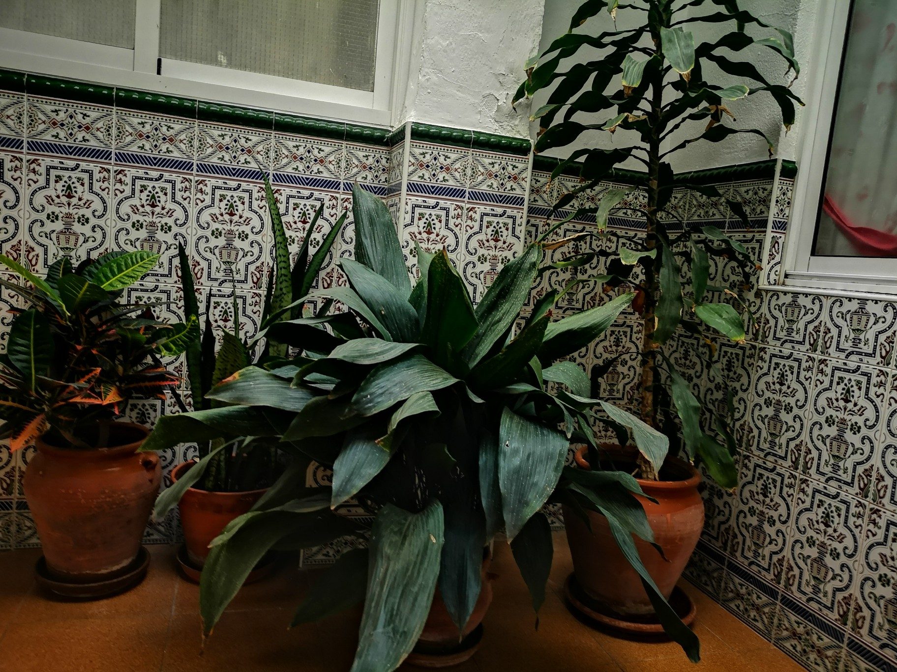 IMG_20211203_105052_resized_20211203_120432014