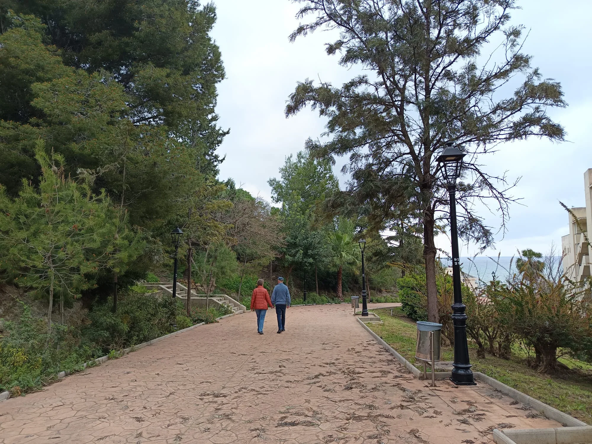 WhatsApp Image 2026-03-02 at 13.39.36 (1)