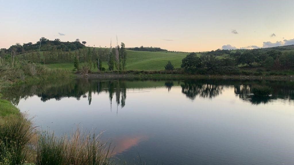 Beautiful agrotourism farm in Casarabonela