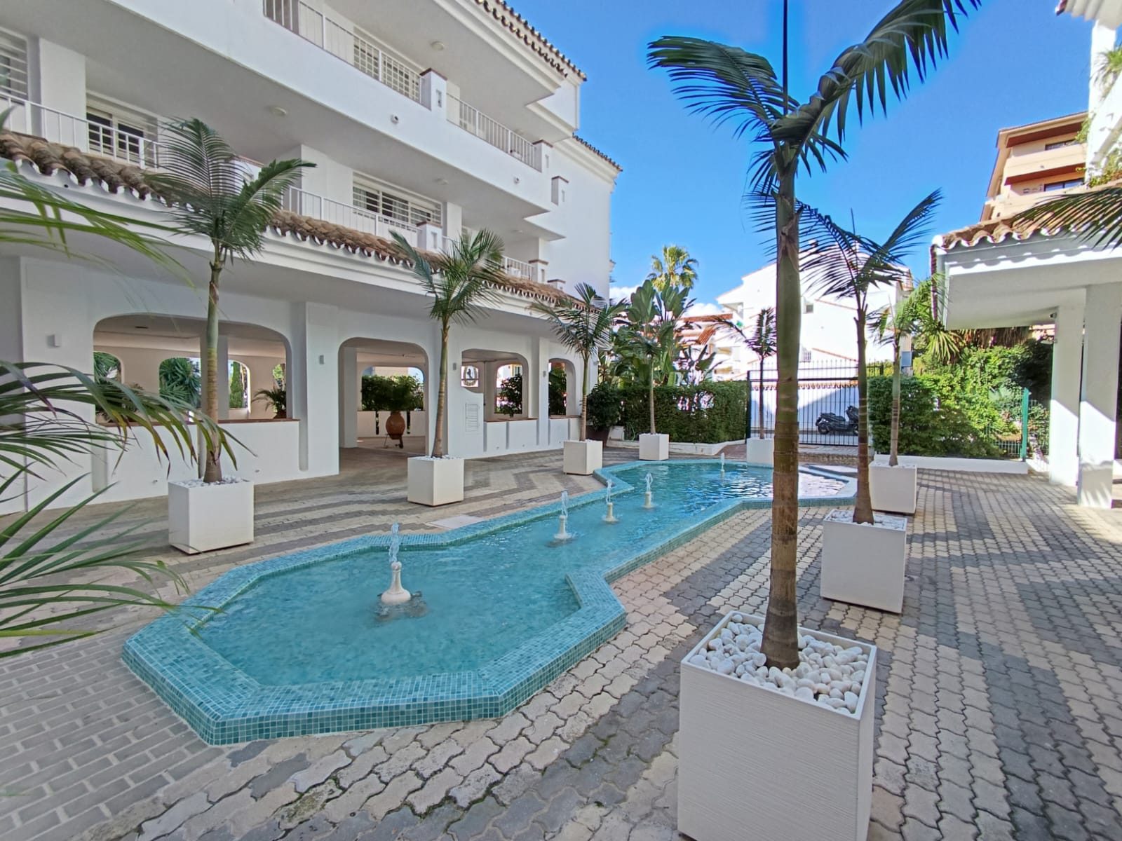 WhatsApp Image 2025-02-19 at 15.30.21