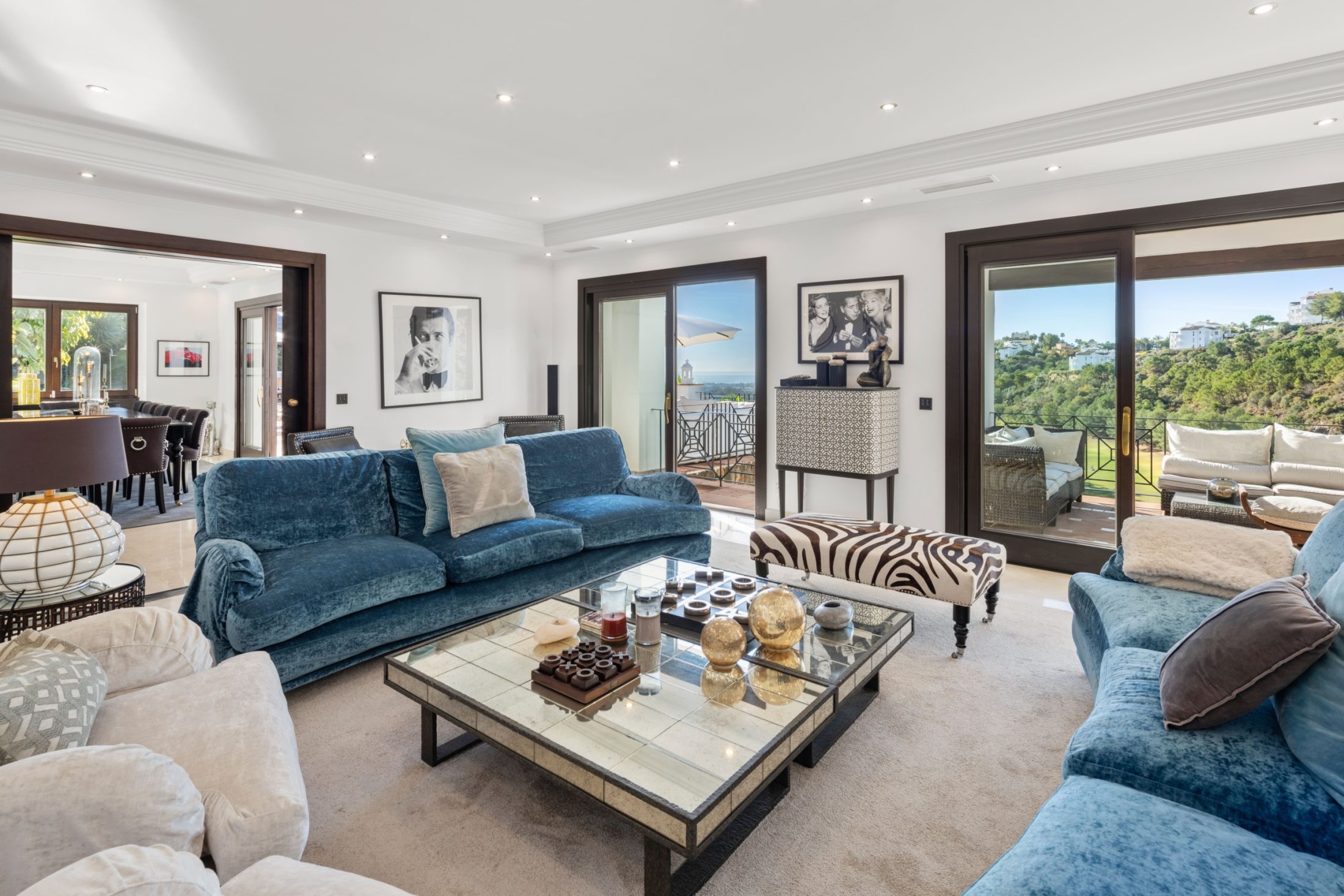 spca_visual_marbella__V9A0447