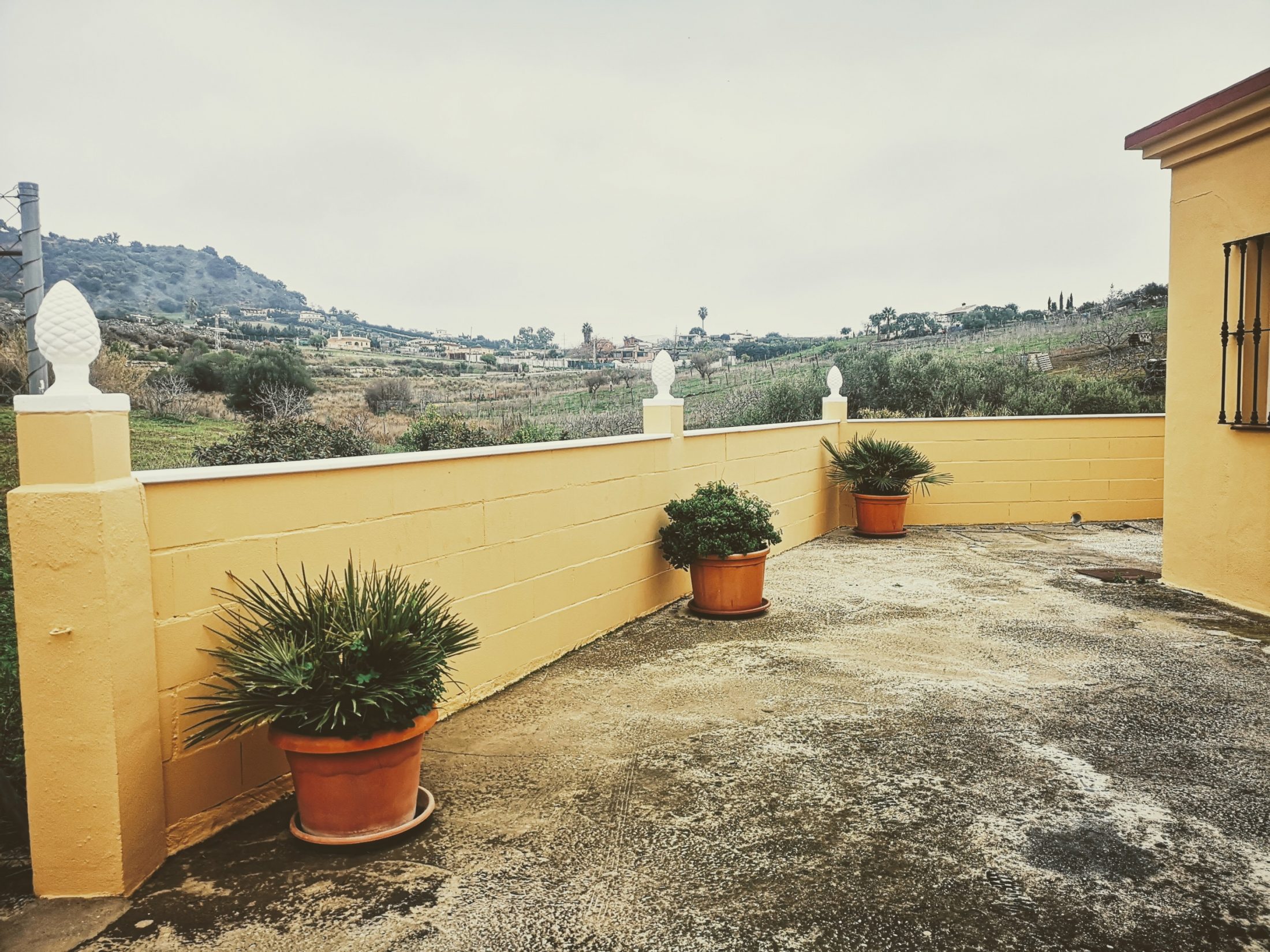 IMG_20220102_102950~3