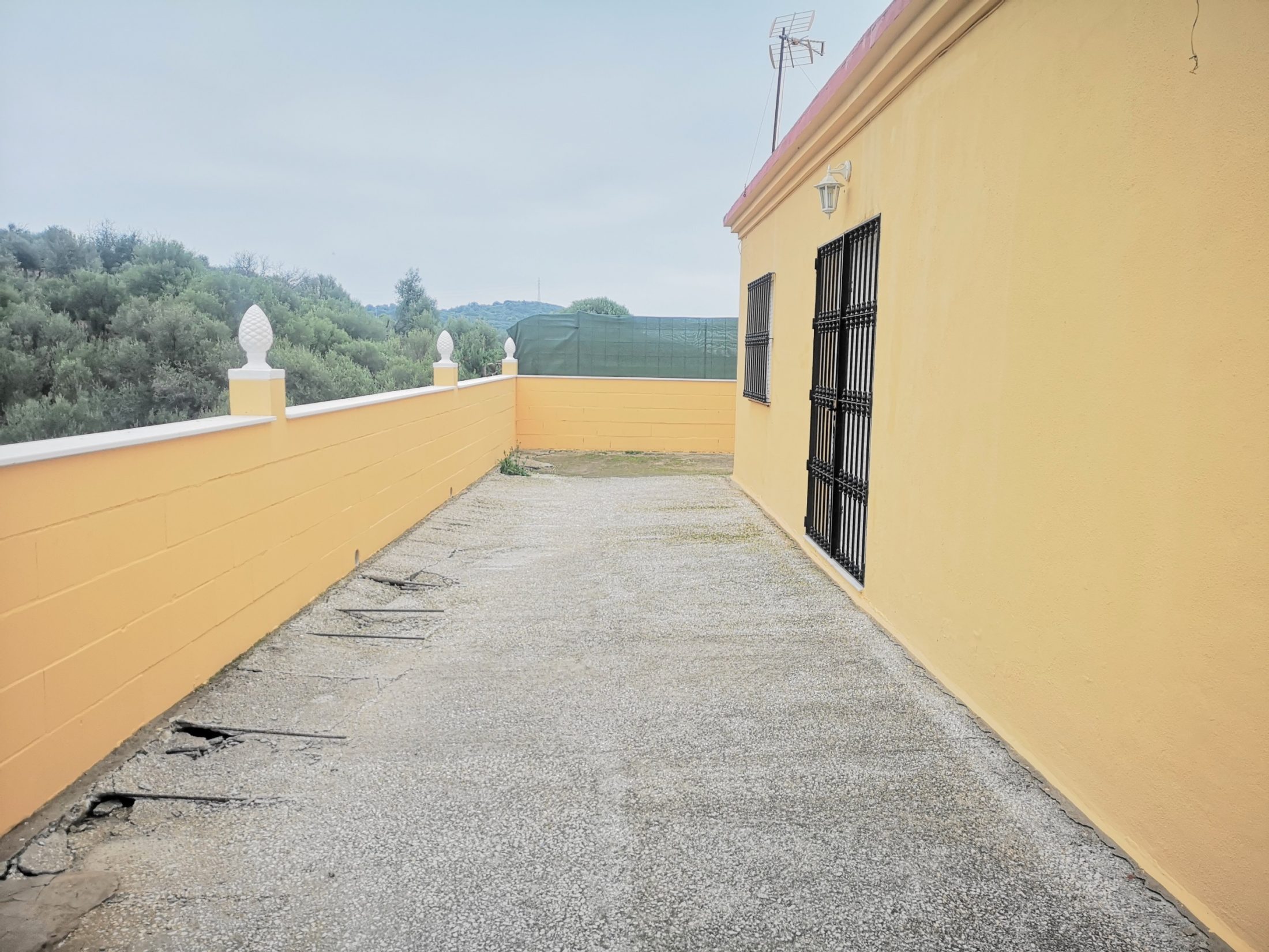 IMG_20220102_103009~2