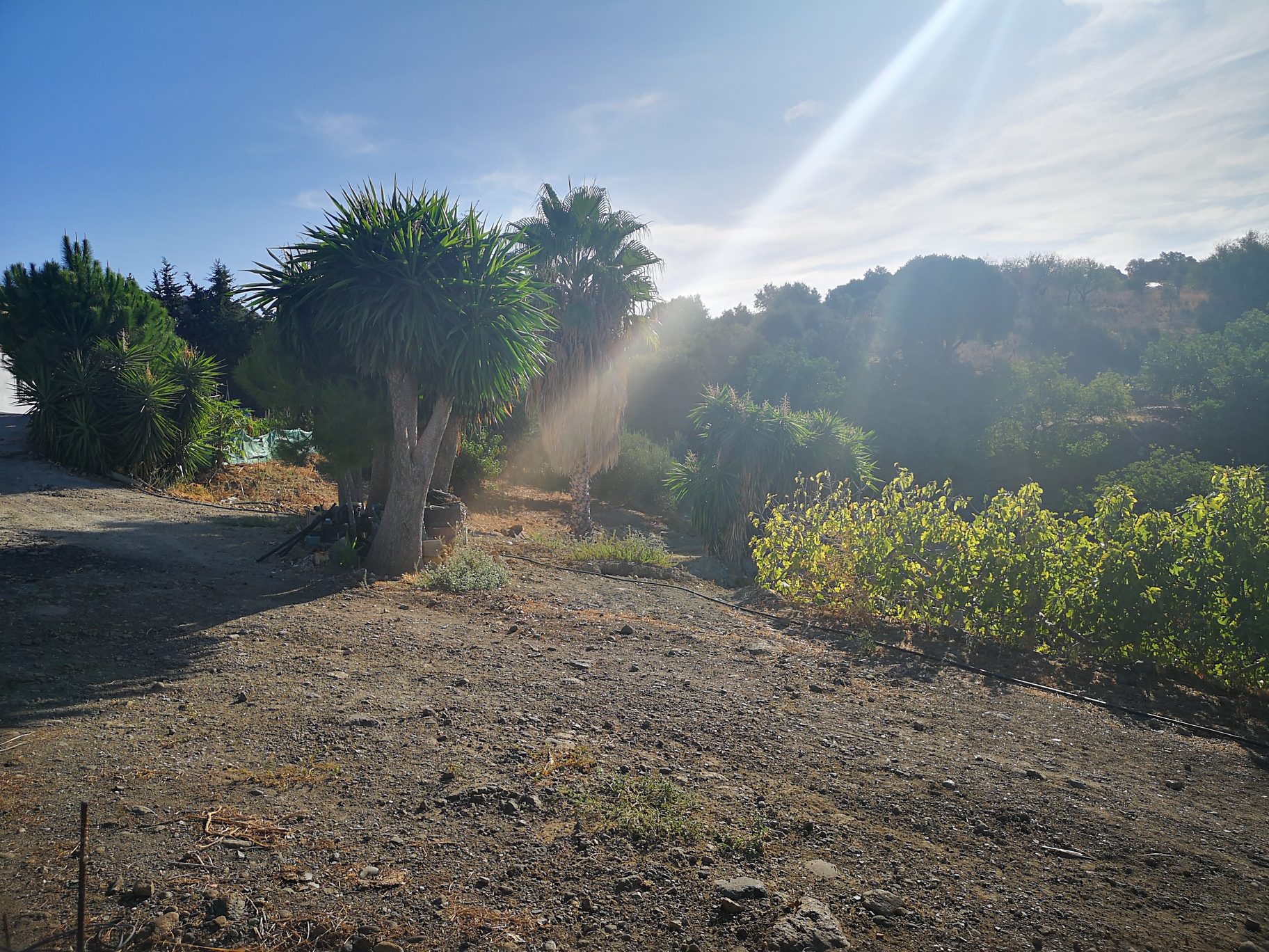 Gran finca en Guadalobon Alto