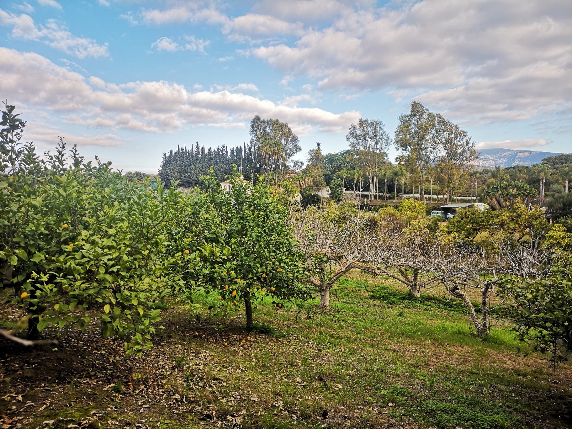 IMG_20220120_100556_resized_20220120_120432501