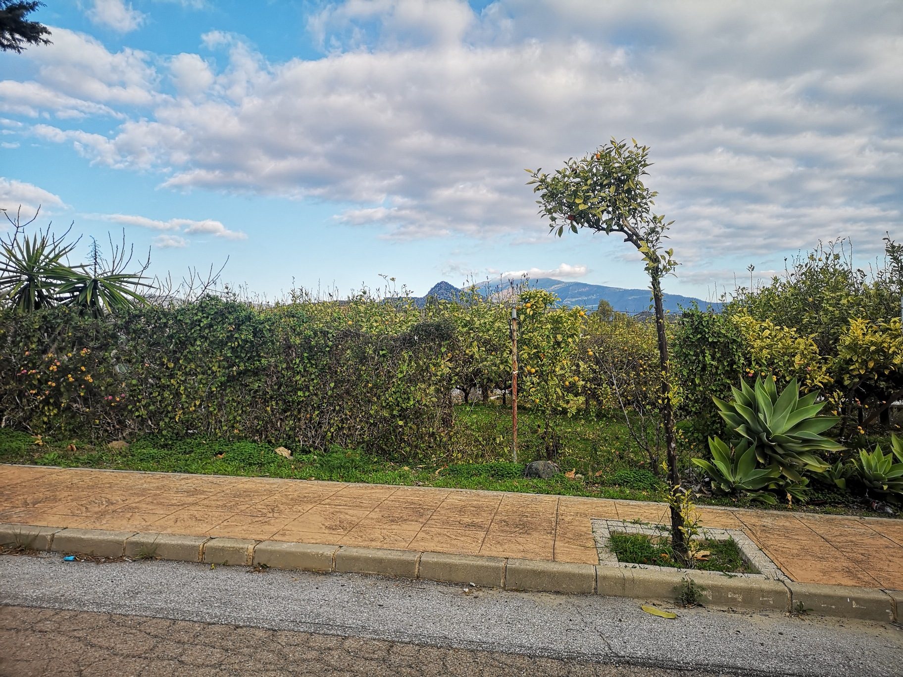 IMG_20220120_100825_resized_20220120_120434710