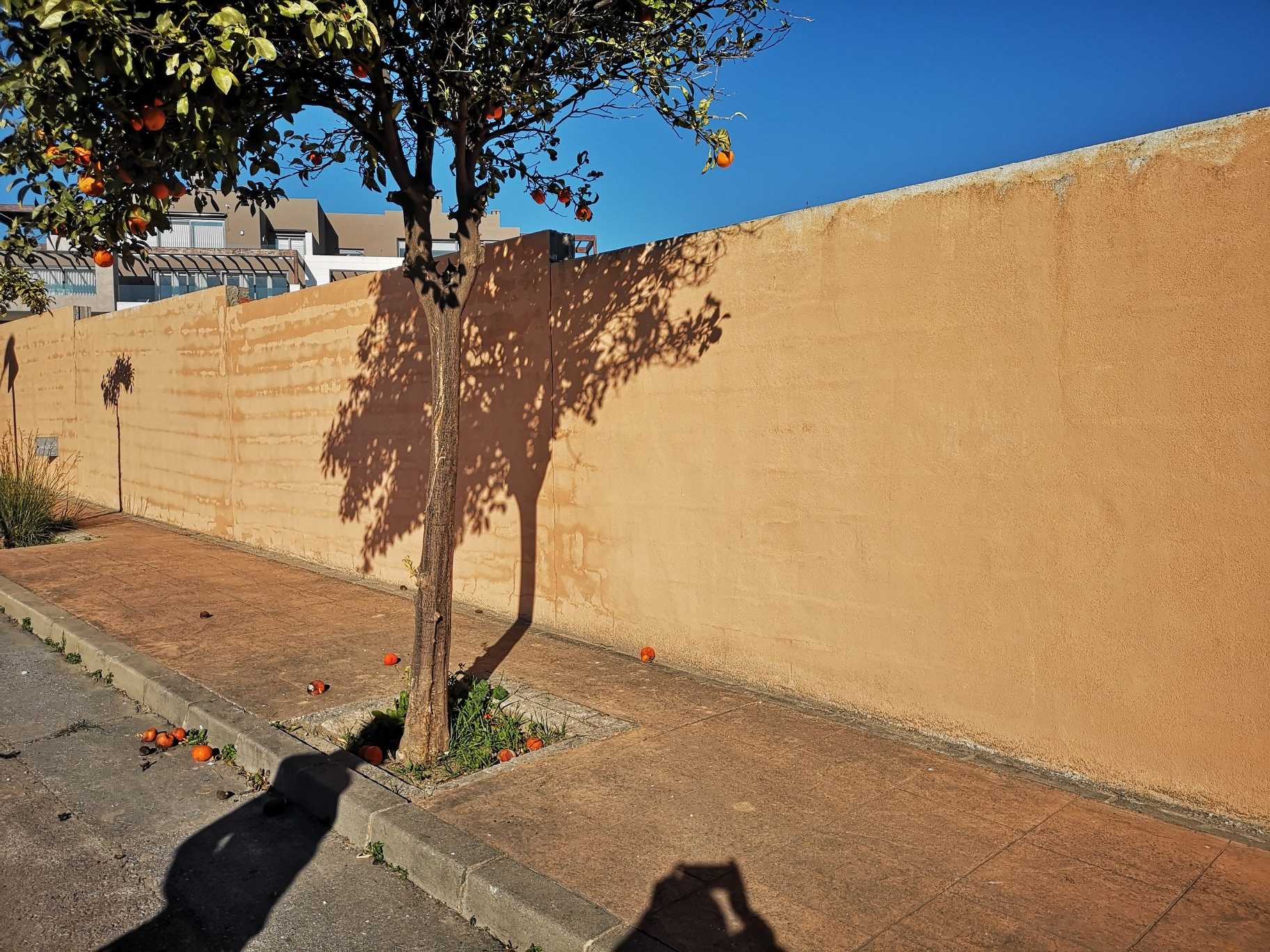 IMG_20220108_111241_resized_20220108_124007216