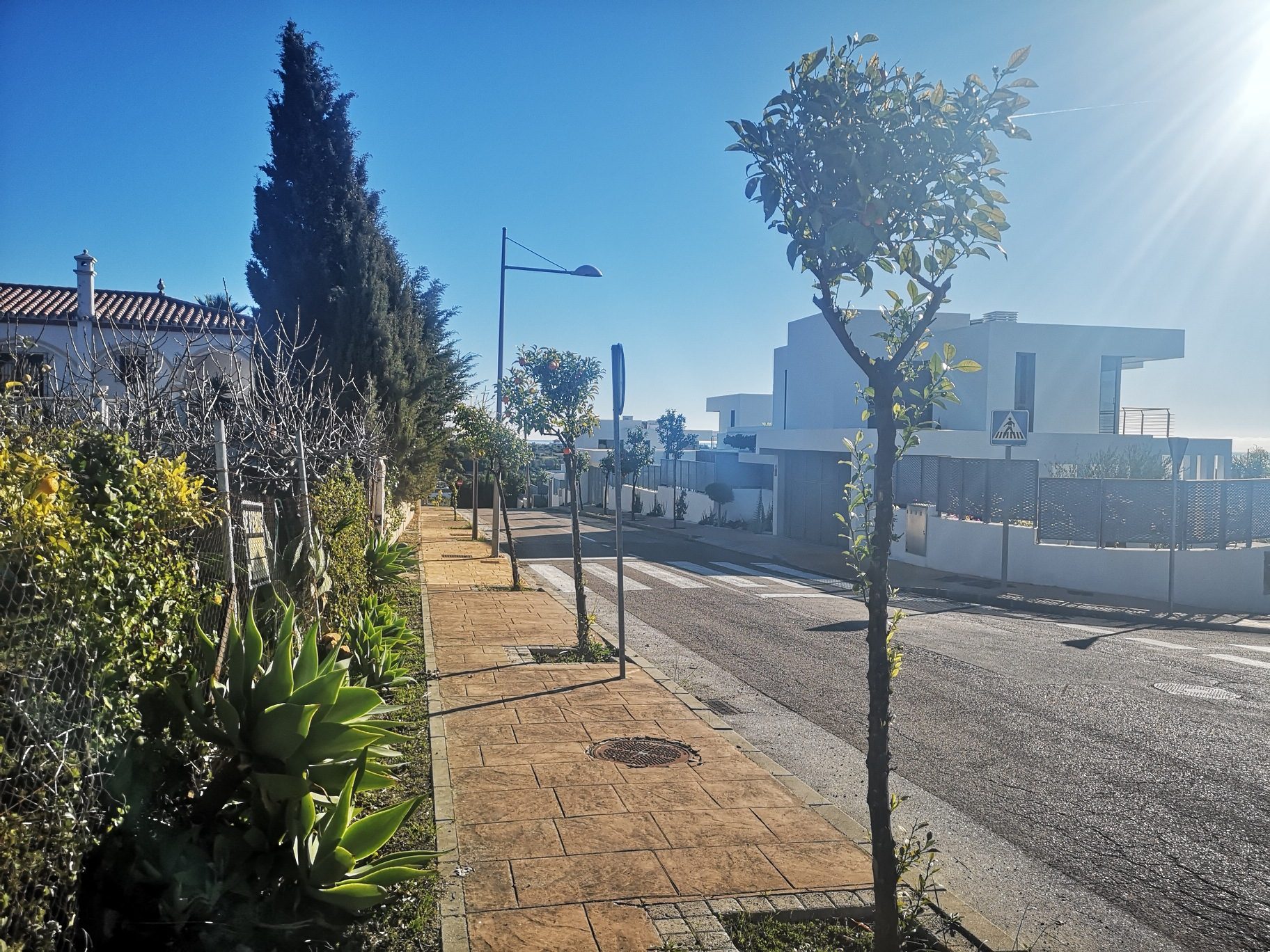 IMG_20220108_112841_resized_20220108_124000226