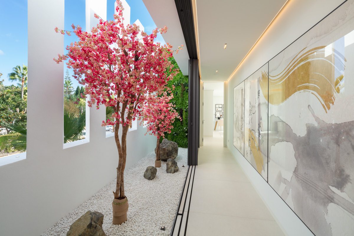 spca_visual_marbella__MG_3022-Edit