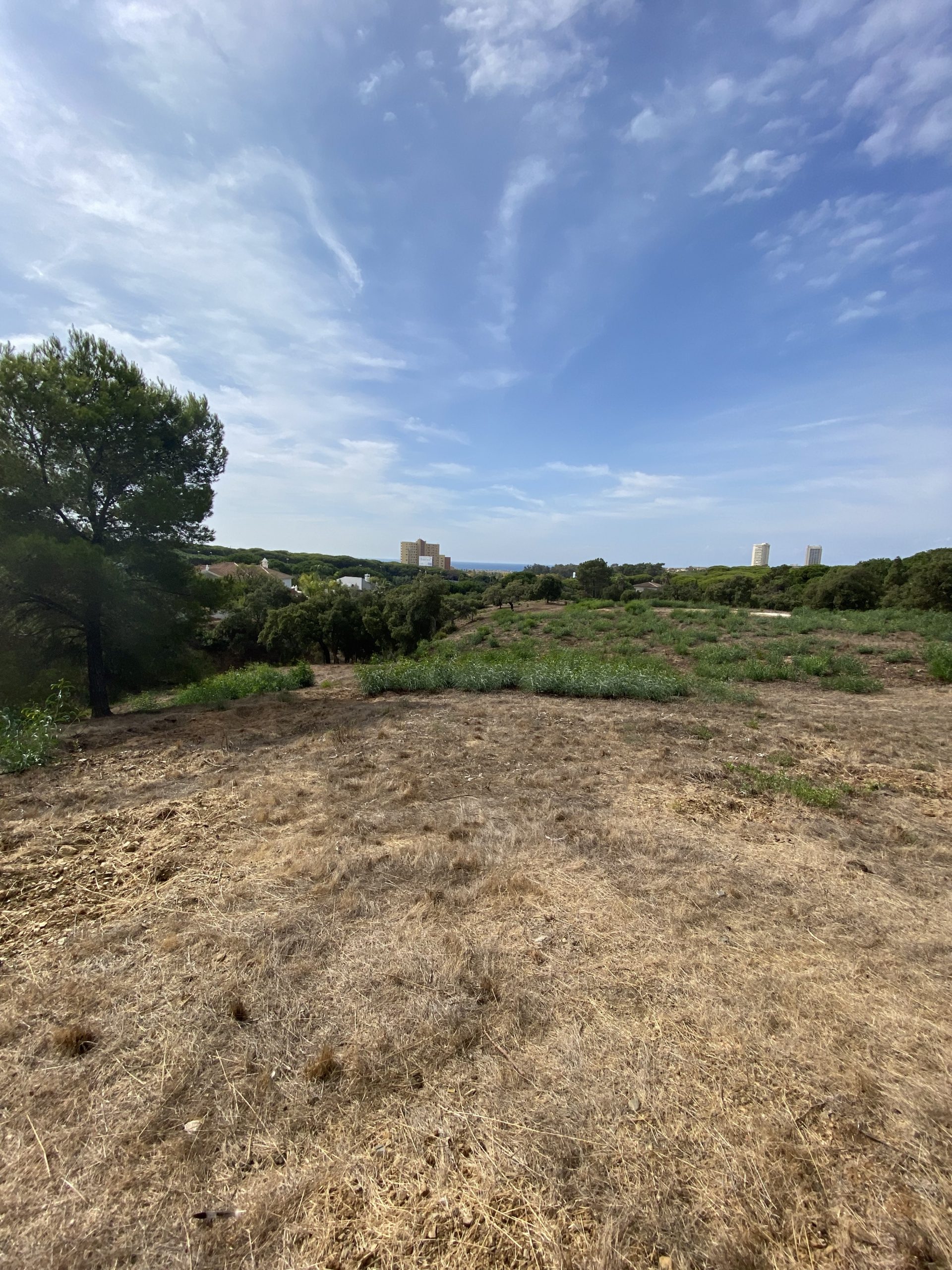 Foto 29-10-21 13 27 59