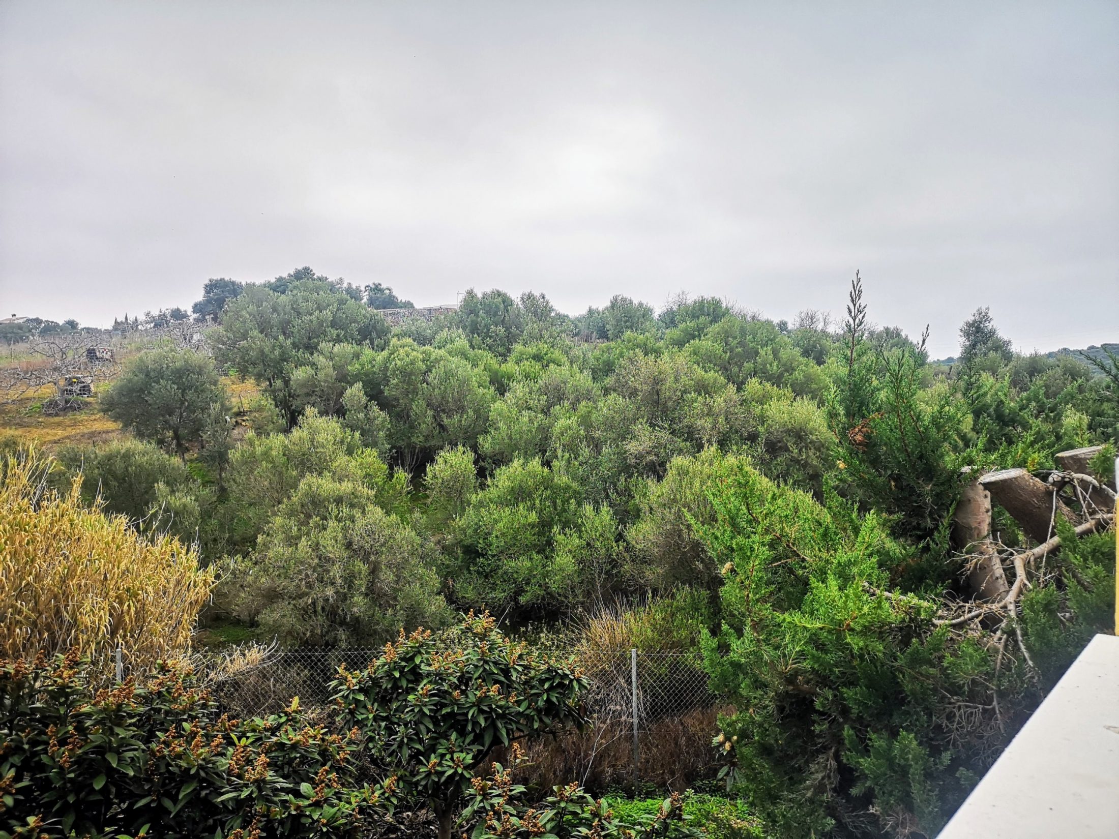 IMG_20220102_103033~2